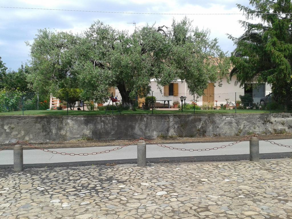 Villa Etna Piedimonte Etneo Zewnętrze zdjęcie